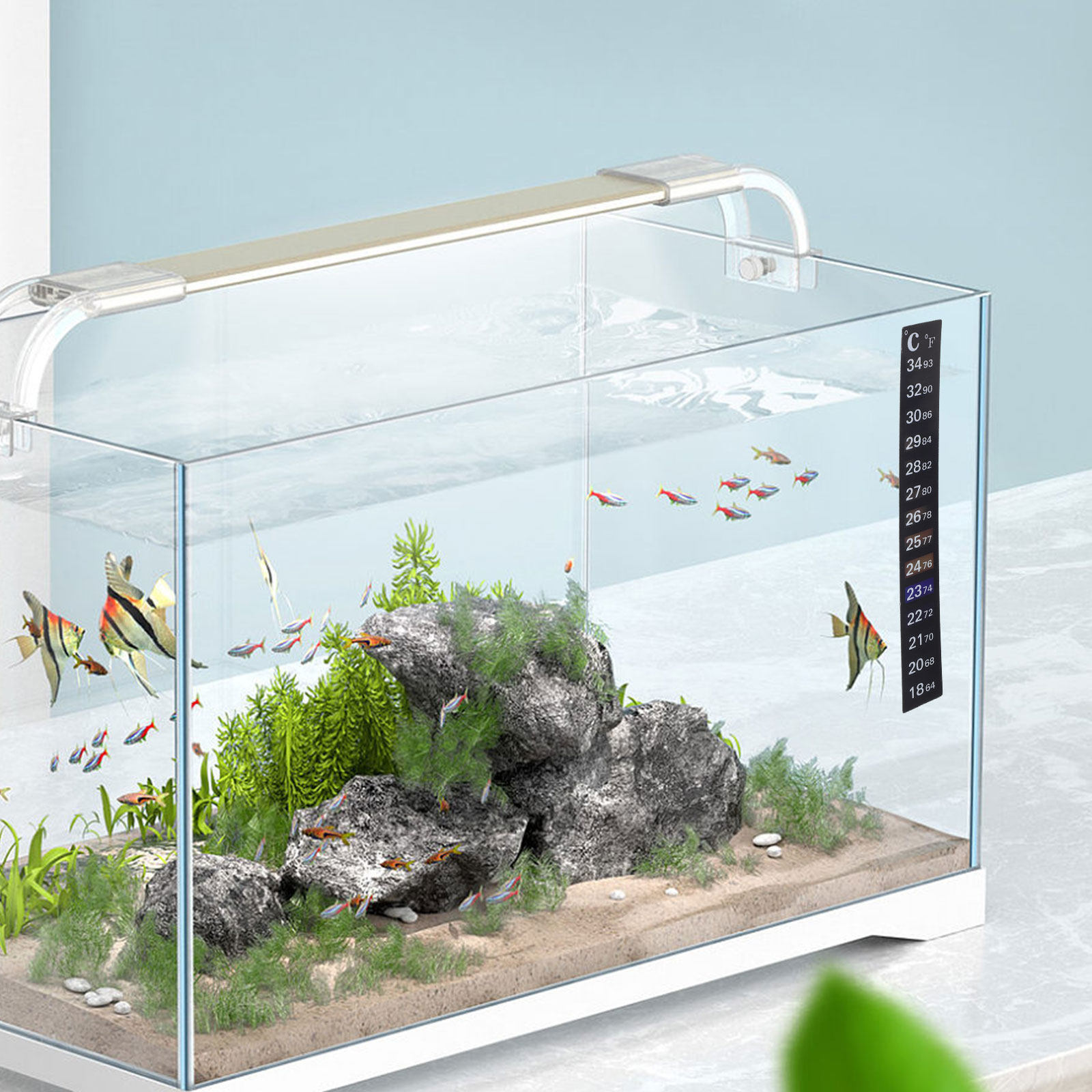 Temperature Strip Thermometer - 2枚入り水槽用温度計ストリップ、色が変わる正確な魚の温度測定ステッカー、温度計ステッカー